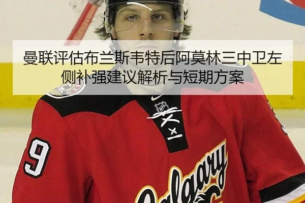 man-lian-ping-gu-bu-lan-si-wei-te-hou-a-mo-lin-san-zhong-wei-zuo-ce-bu-qiang-jian-yi-jie-xi-yu-duan-qi-fang-an-2-554.jpg