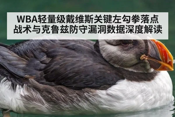 WBA轻量级戴维斯关键左勾拳落点战术与克鲁兹防守漏洞数据深度解读